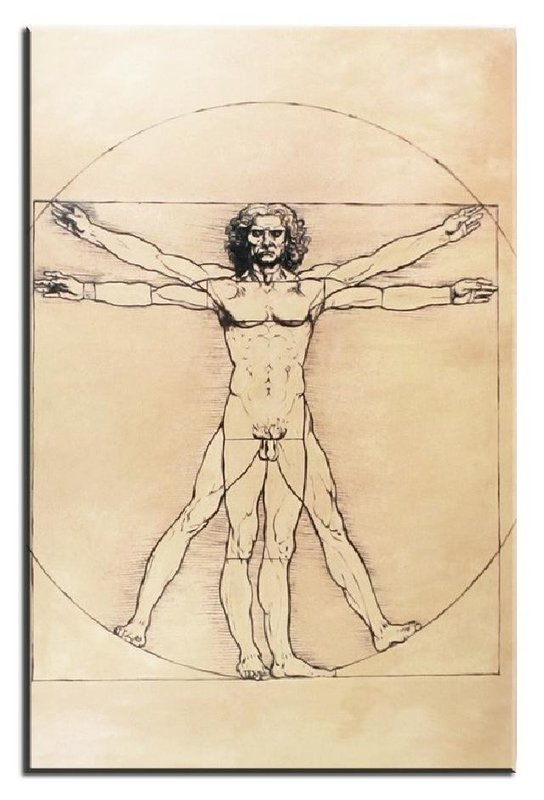 LEONARDO DA VINCIS "VITRUVIAN MANN" GEMÄLDE LEINWAND ÖLBILD BILD