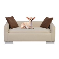 Hunde Katzen Sofa